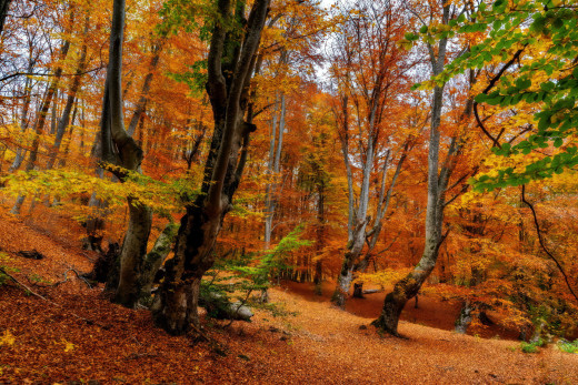 1671673 (a): :2560x1707